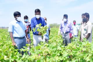 கூடுதல் மகசூல் கிடைக்க கடுமையாக உழைத்த விவசாயிகளுக்கு மாவட்ட ஆட்சியர் பாராட்டு 