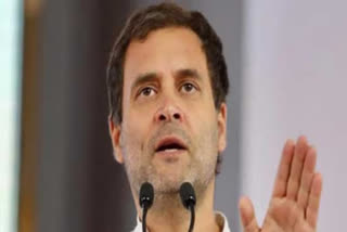 Rahul Gandhi Rahul shares Journalist video Former Congress president Journalist Ajay Jha Covid-19 +ve ailing journo ராகுல்காந்தி டெல்லி ஊடகவியலாளர் டெல்லி ஊடகவியலாளர் வீடியோ ராகுல்காந்தி