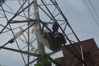 man climb on high tension pole