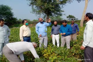 Agriculture department inspected damaged crops