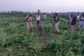 jalpaiguri