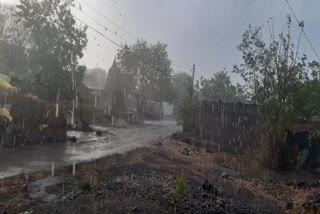 Heavy rain in sengaon hingoli with wind
