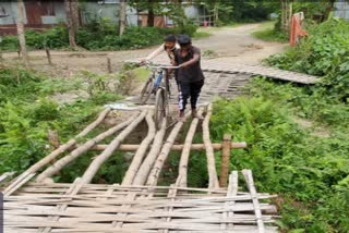 Bamboo bridge 