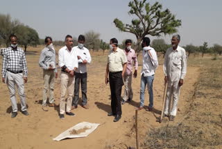 Jhunjhunu news, Collector inspected MNREGA work