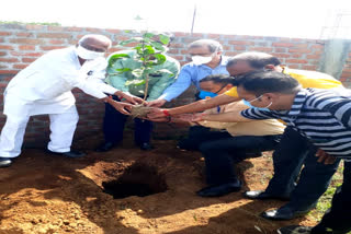 Plantation program on the death anniversary of Akhil Bansal