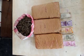 Three Person's Arrested For Cannabis Trafficking In Chennai