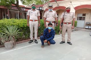 Arrested for stealing phone, breaking the lock of shop, Behror