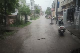 Bhandara rain news