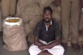 2,000 kg of turmeric smuggled to Sri Lanka