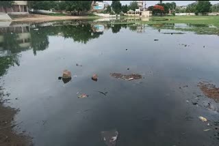 Dirty water in prabhu college field