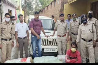 Hemp seized in Pendra