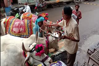 सादगीपूर्ण तरीके से मनाया गया पोला पर्व