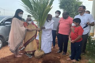 ಹೆಚ್​ಡಿಕೆ ಕೃಷಿ ತೋಟದಲ್ಲಿ ಹೆಚ್​ಡಿಡಿ