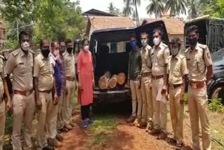 Illegal saguvani tree transport in bhatkal