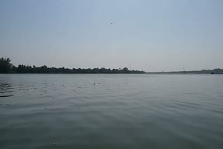 Perfection ban on fishing from Narmada