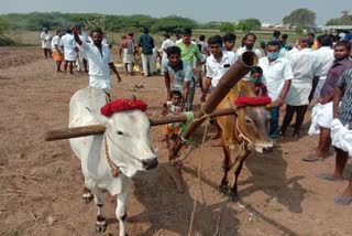 nalleru pottuthal festival 