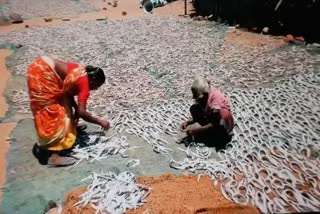 Curfew orders drop dry fish prices