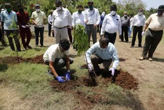 Central Railway staff planting trees