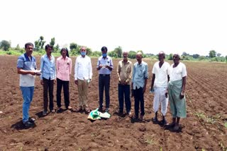 soybean crop not germinated in bidar district