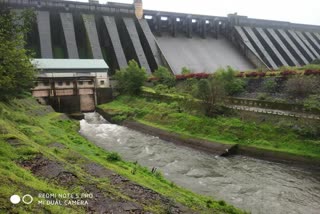 Koyana dam water updates