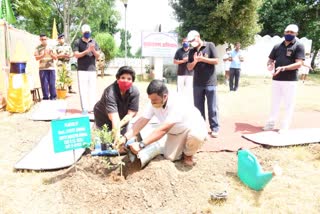 Mega Tree Plantation by members of Industrial Security Force