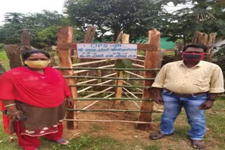 Members of Teachers Association did tree plantation