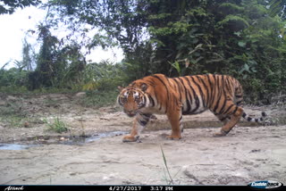 उत्तराखंड