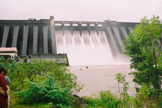 Heavy rainfall in Koyna dam area