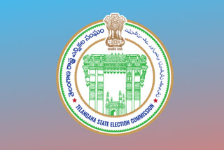 rural elections postpone, telangana state election commission, sec