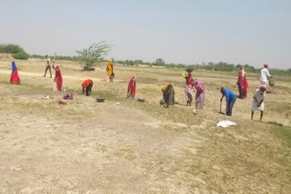  employment under MGNREGA, Ajmer news