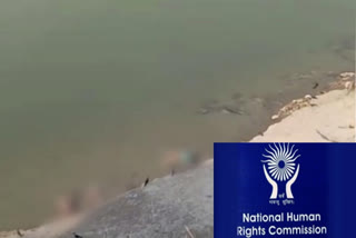 National Human Rights Commission dead bodies floating in Ganga Union Ministry of Jal Shakti COVID19 dead thrown in river Ganga Ganga river NHRC NHRC takes cognizance of dead bodies floating in Ganga Ganga dead bodies ഇടിവി ഭാരത് ഇംപാക്ട്; ഗംഗയില്‍ മൃതദേഹങ്ങള്‍ ഒഴുക്കിയ സംഭവത്തില്‍ ഇടപെട്ട് മനുഷ്യാവകാശ കമ്മീഷന്‍ ഗംഗയില്‍ മൃതദേഹങ്ങള്‍ ഒഴുക്കിയ സംഭവത്തില്‍ ഇടപെട്ട് മനുഷ്യാവകാശ കമ്മീഷന്‍ ഗംഗ മൃതദേഹങ്ങള്‍ മനുഷ്യാവകാശ കമ്മീഷന്‍