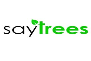 Say trees plantation 