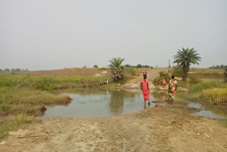 villagers faces many problems due to lack of bridge on river