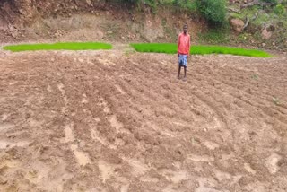 Pahari Korwa farmers of Jashpur