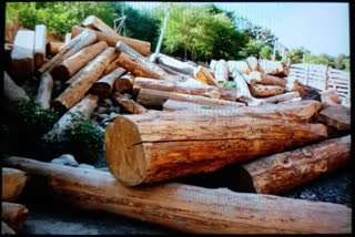 بڈگام میں غیر قانونی لکڑی ضبط