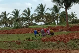 The eastern monsoon is not so promising