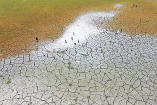 Taiwan rations water taiwan drought drought in taiwan Taiwan drilling extra wells Taiwan government on drought drought conditions in taiwan Taiwan rations water, drills extra wells amid record drought Taiwan കൊടും വരള്‍ച്ചയില്‍ തായ്‌വാന്‍; കര്‍ഷകര്‍ ദുരിതത്തില്‍ കൊടും വരള്‍ച്ചയില്‍ തായ്‌വാന്‍ കര്‍ഷകര്‍ ദുരിതത്തില്‍ തായ്‌വാന്‍