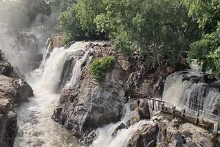 ஒகேனக்கல்லுக்கு நீர்வரத்து