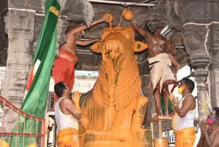 Thiruvannamalai Annamalaiyar Temple Pradosa Worship