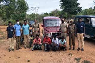 Four fined for rabbit hunting - Forest Department action!
