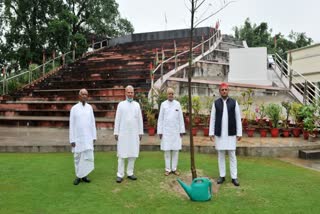 akhilesh yadav planted tree