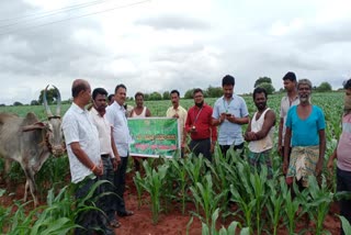 ಸರ್ವೇ ಆ್ಯಪ್ ಕುರಿತು ಮಾಹಿತಿ