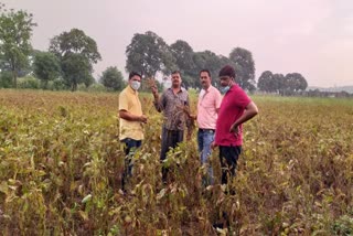 BJP inspects crop survey in betul