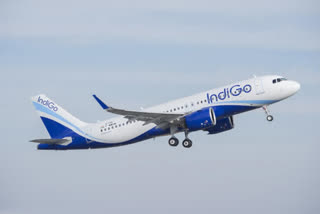  IndiGo chartered flights ഇൻഡിഗോ വിമാനം ചാർട്ടേഡ് വിമാനം അന്താരാഷ്ട്ര വിമാന യാത്രാ സർവീസ്