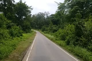 Road widening pending in PTR area of ​​Palamu