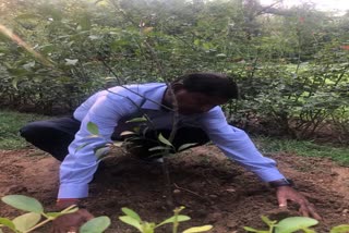 Union Minister Arjun Munda did plantation in delhi