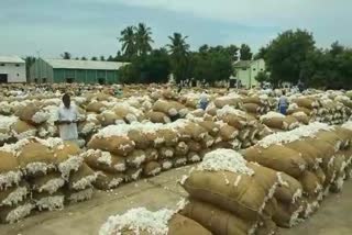 Konganapuram Co-operative Sales Society Cotton Auction