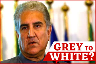 Shah Mehmood Qureshi 