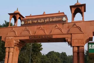rajendra agricultural university will provide training to migrant laborer