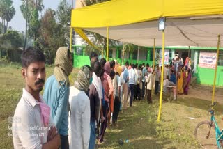 bihar assembly election 2020 1st phase voting starts 7am 